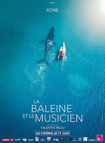 Affiche du film "La baleine et le musicien" sur laquelle on voit, depuis le ciel, un bateau en pleine mer qui navigue juste à côté d'une baleine.